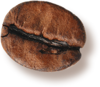 coffee roasters near me